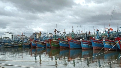 Gia Lai, Khánh Hòa: Khẩn trương triển khai các biện pháp cấp bách ứng phó bão số 15