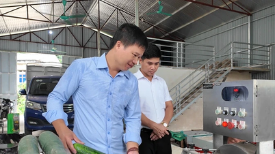 แวน แลง: การเดินทางแห่งการเปลี่ยนแปลง