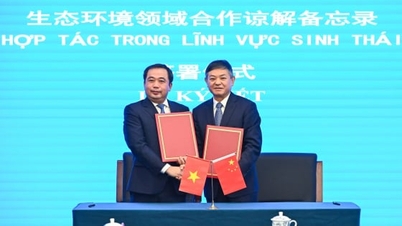 چگونه چین معجزه تغییر کیفیت محیط زیست را رقم زد؟