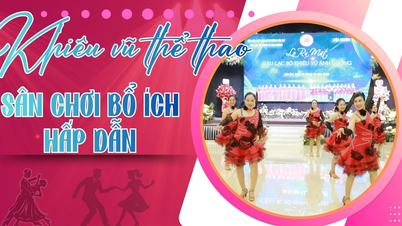 নৃত্য খেলার মাঠ দরকারী, আকর্ষণীয়