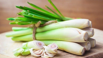 ລ້າງສານພິດໃນຕັບຂອງທ່ານງ່າຍໆດ້ວຍຫົວຜັກກາດລາຄາຖືກທີ່ມີຢູ່ຕະຫຼາດ.