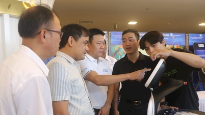 Da Nang'ın küresel girişim haritasında öne çıkmasına yardımcı olmak için