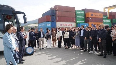 Đoàn đại biểu Diễn đàn Logistics Việt Nam 2025 khảo sát cảng Tiên Sa