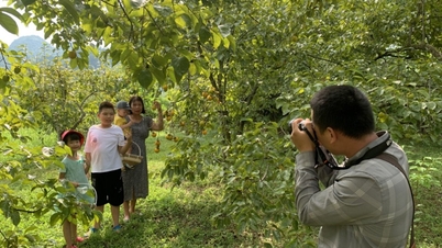 «Посли туризму» в селі