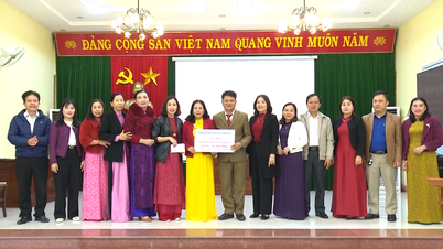 Quang Tri dona 7 mil millones de VND para cuatro provincias afectadas por inundaciones