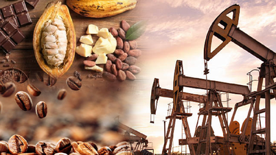 Giá cà phê Robusta vượt 4.500 USD/tấn, dầu thô phục hồi