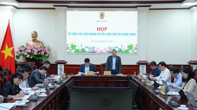 Meninjau prosedur administratif di bawah pengelolaan kementerian, cabang, dan daerah di 3 tingkat pemerintahan