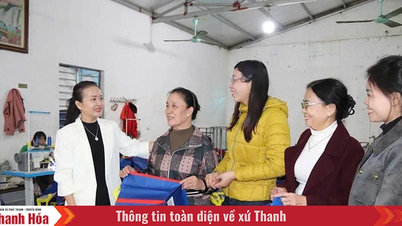 ماحول دوست برآمدی بیگ کی پیداوار