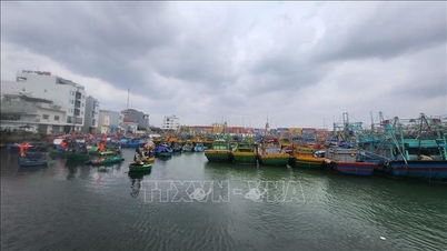 Gia Lai ឆ្លើយតបយ៉ាងសកម្មចំពោះព្យុះលេខ ១៥ យោងតាមបាវចនា '4 on-site'