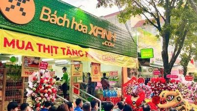 Bach Hoa Xanh oficialmente presente no Norte - Trazendo um supermercado "próximo de casa e econômico" para atender os consumidores vietnamitas.