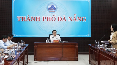 Da Nang requests to speed up disbursement of capital for new rural construction