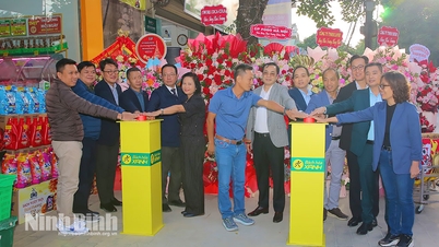 Simultaneous opening of 20 Bach Hoa Xanh supermarkets in Ninh Binh