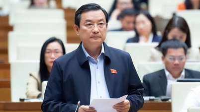 Juridische verantwoordelijkheid voor het hoofd dat opzettelijk 'gegevens scheidt'