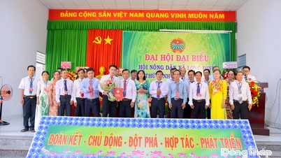 Long Dinh község: A növénytermesztési és állattenyésztési struktúra átalakítása a tudomány és a technológia segítségével