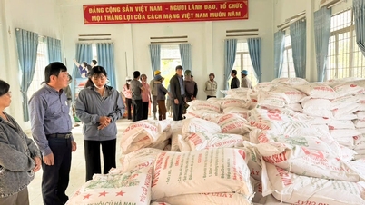 Sprijiniți locuitorii tribului Cat Tien pentru a restabili producția agricolă