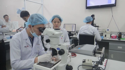 Establecimiento del Centro de Innovación de la Universidad Nacional de Ciudad Ho Chi Minh