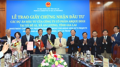 Líderes provinciais concederam o Certificado de Registro de Investimento à Sociedade Anônima ARQUE DEGI.