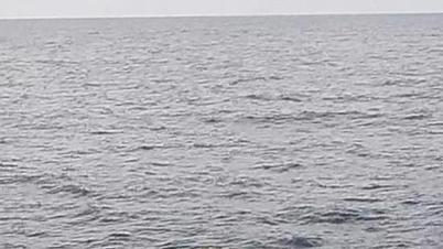 Lam Dong segera mencari nelayan yang hilang di laut