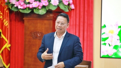 입양법 시행 15주년을 요약한 컨퍼런스