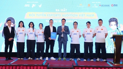 Сборная Вьетнама по киберспорту встретится с Таиландом, Лаосом и Филиппинами на Играх Юго-Восточной Азии 33