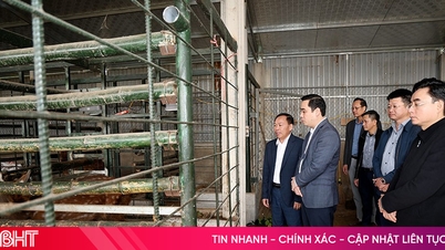 Mereplikasi model peternakan rusa di komune Cam Lac