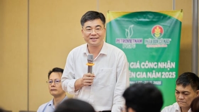 Co upřednostní společnost Ca Mau Fertilizer Corporation?