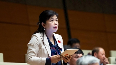 Εκπρόσωπος της Εθνοσυνέλευσης Nguyen Thi Thu Ha (Quang Ninh): Προσθήκη στον εθνικό σχεδιασμό για την αξιοποίηση των πλεονεκτημάτων του «χρυσωρυχείου» της εφοδιαστικής Con Ong - Hon Net