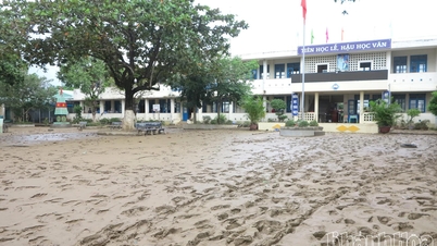 খান হোয়া সংবাদপত্র, রেডিও এবং টেলিভিশন বন্যাদুর্গত এলাকার শিক্ষার্থীদের জন্য একটি বিনিময় কর্মসূচি আয়োজন এবং পৃষ্ঠপোষকতার আহ্বান জানাতে সমন্বয় করবে।