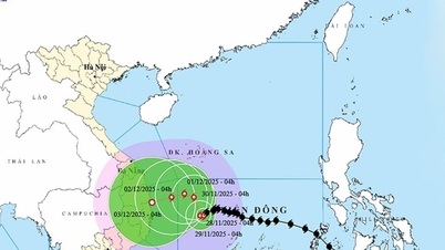 Da Nang proactively responds to storm No. 15