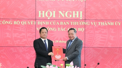 ທ່ານ​ຮອງ​ຫົວ​ໜ້າ​ຫ້ອງ​ການ​ສະ​ພາ​ແຫ່ງ​ຊາດ ຫວູ​ມິນ​ຕວນ ໄດ້​ຮັບ​ການ​ແຕ່ງ​ຕັ້ງ​ເປັນ​ຜູ້​ອຳ​ນວຍ​ການ​ສຳ​ນັກ​ງານ​ຂ່າວ​ຮ່າ​ໂນ້ຍ.