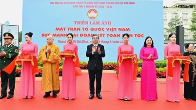 হো চি মিন সিটি প্রদর্শনী "ভিয়েতনাম ফাদারল্যান্ড ফ্রন্ট - মহান সংহতির শক্তি প্রচার"