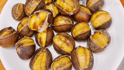 শীতের উপহার হল সুগন্ধি 'কিডনি-টোনিফাইং সোনা' বীজ যা রক্তে শর্করার মাত্রা স্থিতিশীল করতে এবং অনেক সুস্বাদু খাবার তৈরিতে সাহায্য করে।