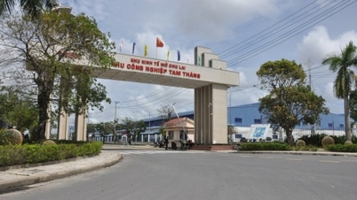 ນະຄອນ ດ່າໜັງ ອະນຸມັດລາຄາທີ່ດິນເພື່ອຂະຫຍາຍສວນອຸດສາຫະກຳ Tam Thang