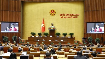 बाढ़ को न्यूनतम करने के लिए एक व्यापक समाधान की आवश्यकता है।