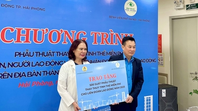 労働者とその家族500人を対象とした無料白内障手術プログラム