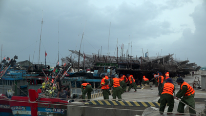 منطقه ویژه ترونگ سا به طور پیشگیرانه به طوفان شماره ۱۵ واکنش نشان می‌دهد