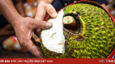 新鮮なジャックフルーツが中国に正式に輸出される