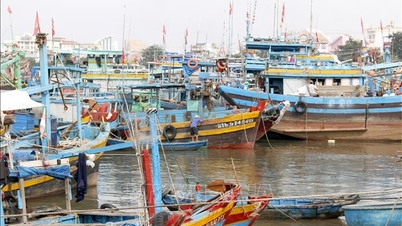 Lam Dong simultaneously deploys response plans for storm No. 15