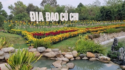 Kota Ho Chi Minh: Pertunjukan kembang api untuk merayakan ulang tahun ke-30 Situs Sejarah Terowongan Cu Chi