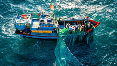 Związek Rybaków stanowi solidne wsparcie dla dziesiątek tysięcy rybaków.