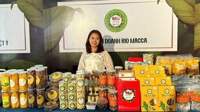 โอกาสในการส่งเสริมผลิตภัณฑ์ท้องถิ่นสู่ต่างประเทศ