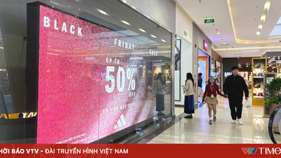 בלאק פריידי 2025: "מכירה צפה" אבל עדיין אין קונים