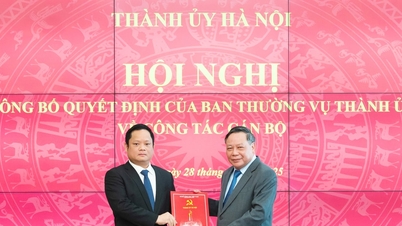 হ্যানয় পার্টি কমিটির প্রচার ও গণসংহতি বিভাগের উপ-প্রধানের পদে জনাব ভু মিন তুয়ানকে গ্রহণ ও নিয়োগের সিদ্ধান্ত হস্তান্তর