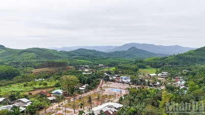 ការផ្លាស់ប្តូរដី Son Cam Ha