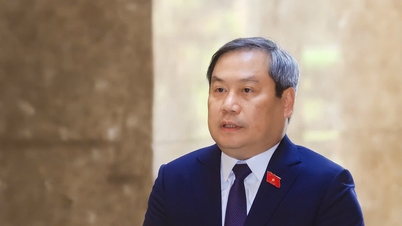 Секретарь партии провинции Куангнинь Ву Дай Тханг становится заместителем секретаря Ханойского комитета партии