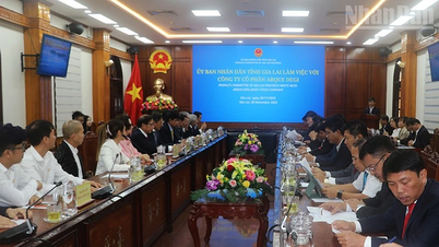 ג'יה לאי משיקה שני פרויקטים אסטרטגיים בלגונות דה גי וקאט טיין