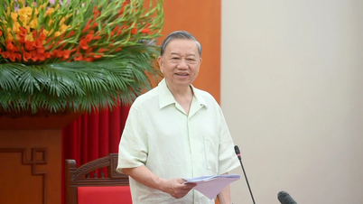 Sobre o cuidado e a proteção de crianças em circunstâncias especiais