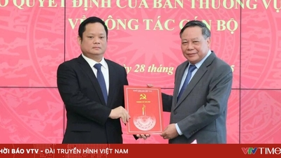 Vu Minh Tuant kinevezték a Hanoi Pártbizottság Propaganda Osztályának helyettes vezetőjévé és Tömeges Mobilizációs Osztályának helyettes vezetőjévé.