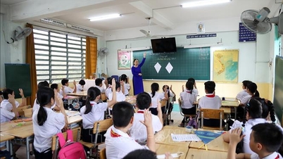 Четко определить обязанности по управлению дополнительными учебными мероприятиями