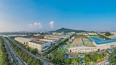 Εμπορικές, logistics και επενδυτικές ευκαιρίες στο Phu Tho μετά τη συγχώνευση